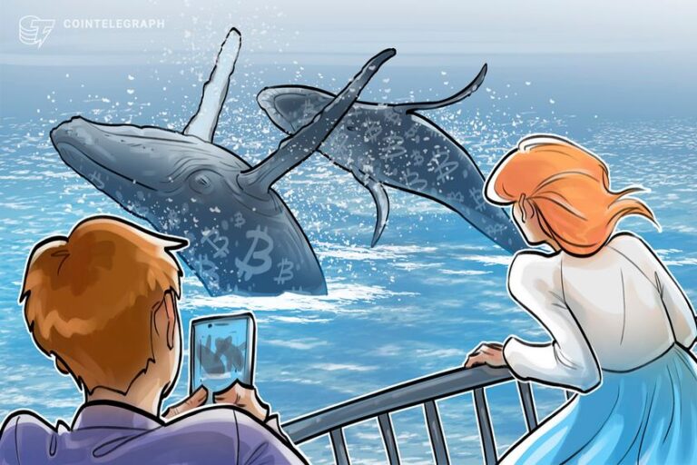 Las ballenas de Bitcoin insinúan que el "rebote del mercado" estará en el nivel de 80.000 dólares mientras se enfrían las entradas en Binance