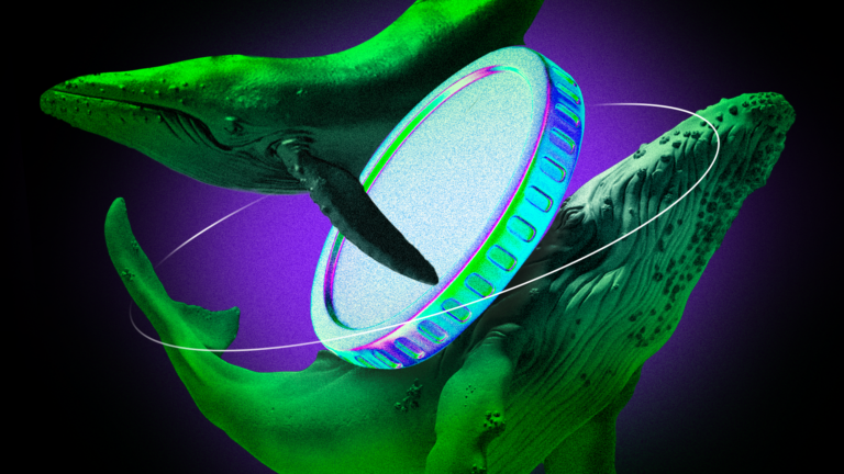 ¿Cuáles criptomonedas compraron las ballenas tras el crash del “Lunes Negro”?